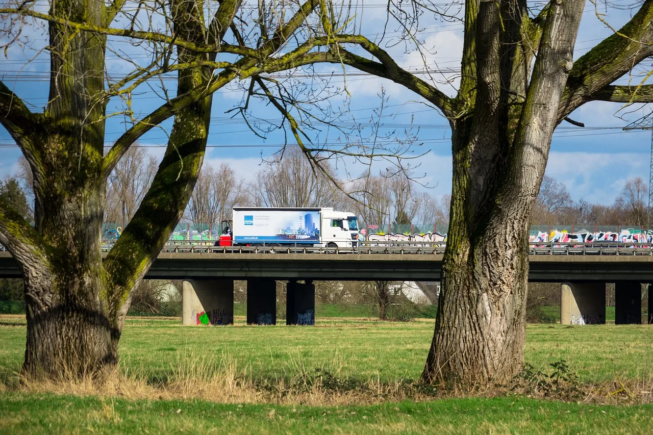 truck, highway, bridge, trees, trucks, road traffic, traffic, road, transport, nature, ride, vehicle, freight transport. How FMCSA rules shape interstate mover household estimates
