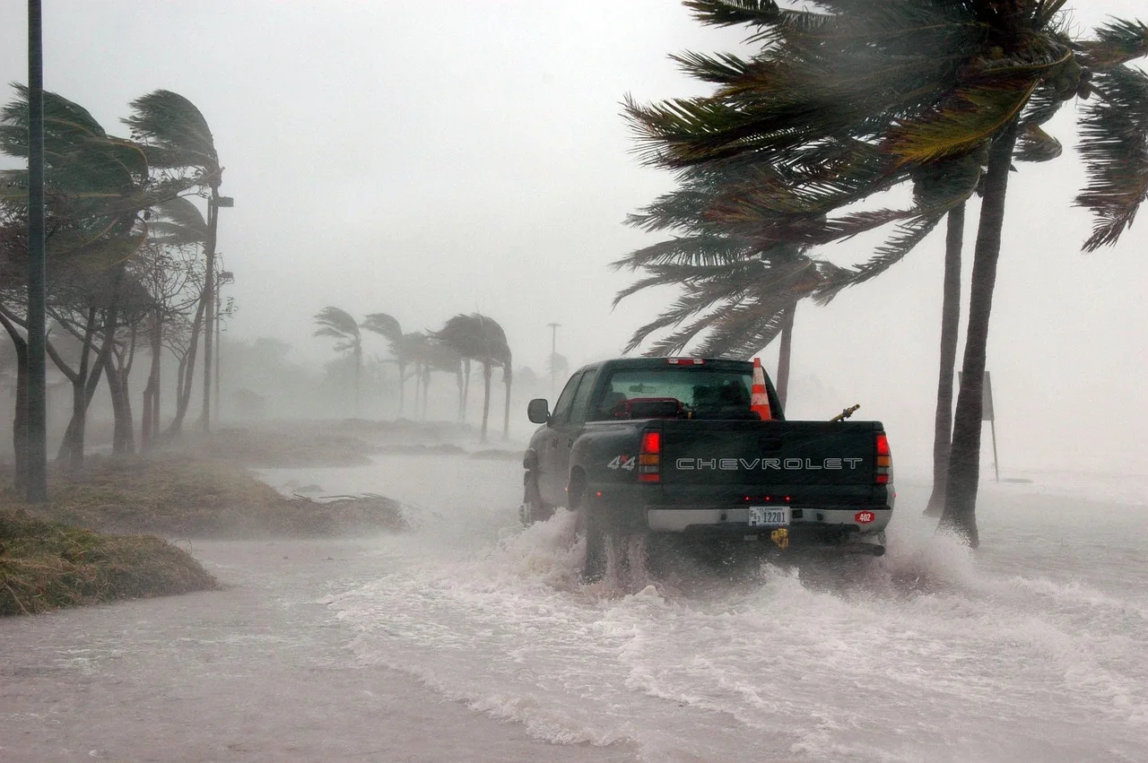 key west, florida, hurricane, hurricane dennis, weather, storm surge, stormy, wind, dangerous, truck, water, sea, ocean, palm trees, outside, nature, flooded, earth day. Hurricane Season Moving Estimates: Storm Clauses to Check