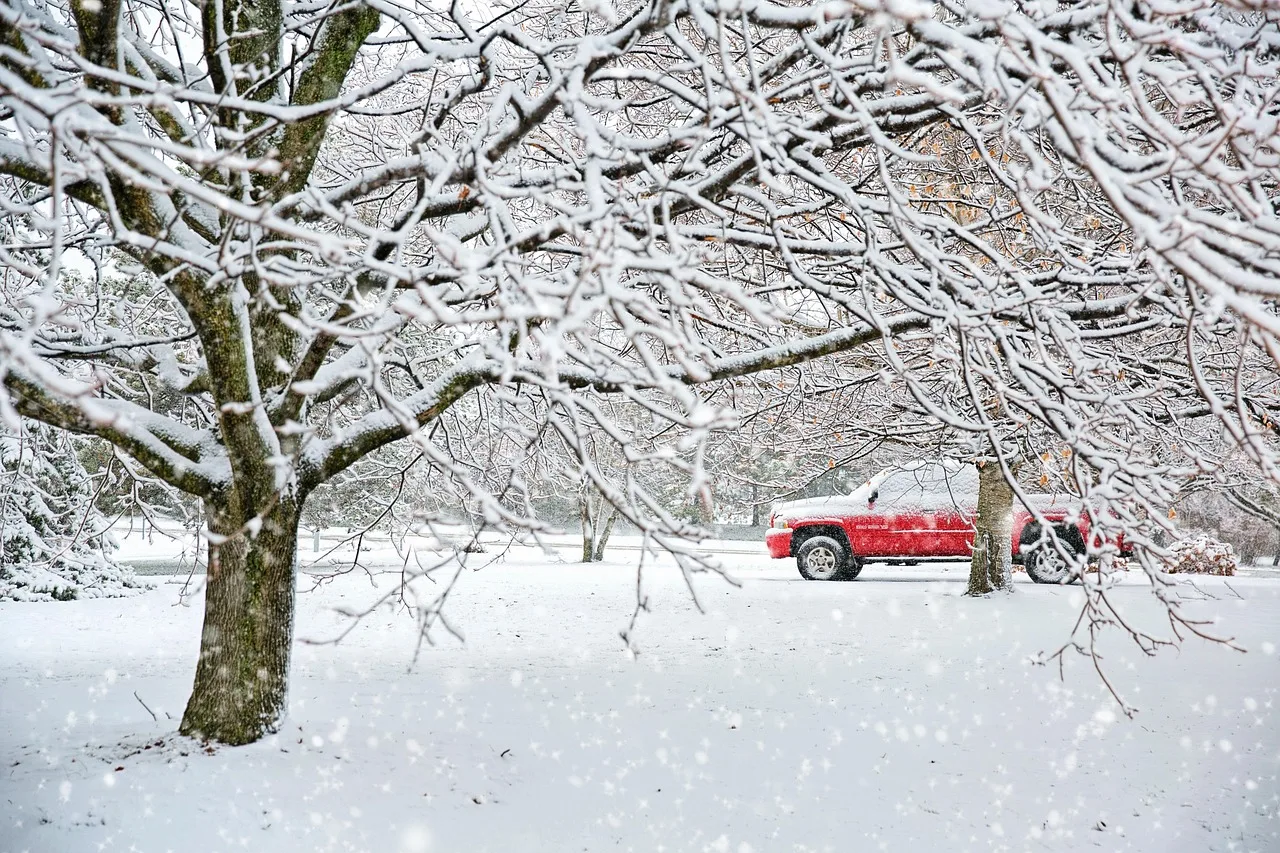 truck, snow, winter, nature, landscape, trees, red truck, christmas, wintry, cold, truck, winter, christmas, christmas, christmas, christmas, christmas. Simple bookkeeping for a moving company: job numbers, cash and the seasonal reserve