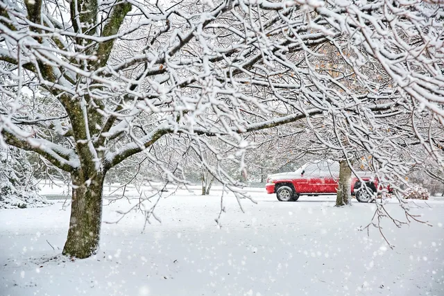 truck, snow, winter, nature, landscape, trees, red truck, christmas, wintry, cold, truck, winter, christmas, christmas, christmas, christmas, christmas. Simple bookkeeping for a moving company: job numbers, cash and the seasonal reserve
